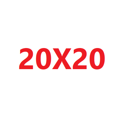 20X20
