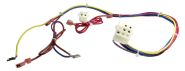 AS-61704-05 Protech Wiring Harness - 9 Pin to 2 Pin and 4 Terminals - Standing Pilot Ignition - RGDG Units